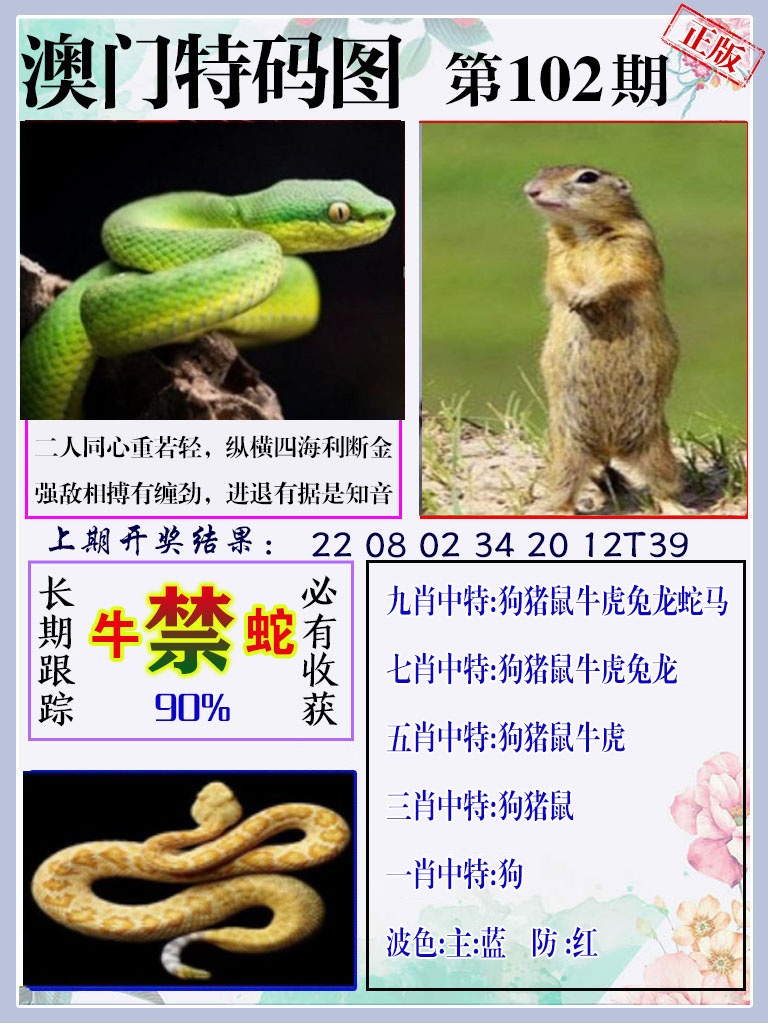 102期特码图[图]